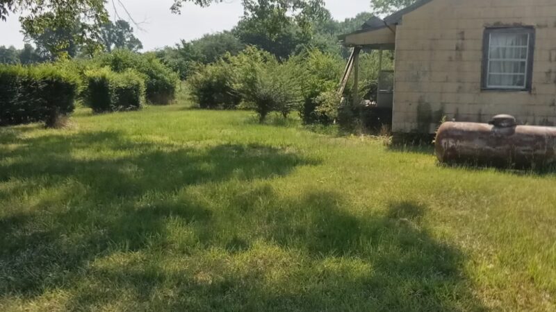 Hope's 36 Acre Unfenced Private Dog Park In Sawyerville AL - Sawyerville, AL