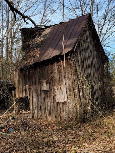 Charlotte State Forest Trail head - Saxe, VA
