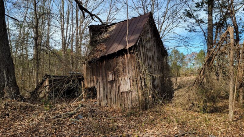 Charlotte State Forest Trail head - Saxe, VA