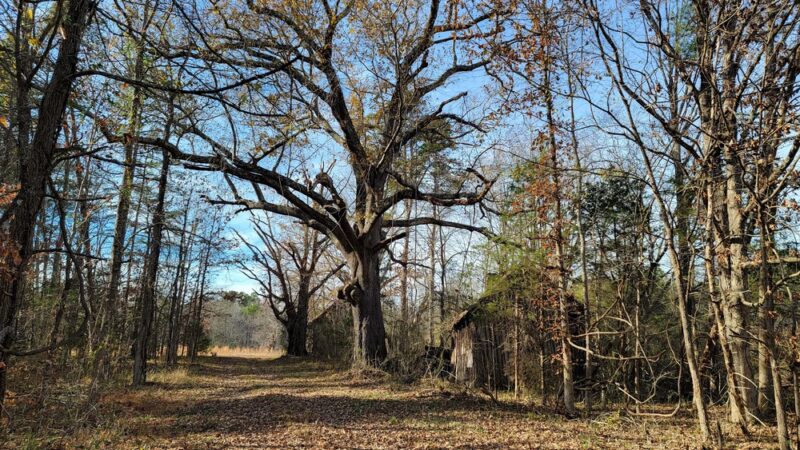 Charlotte State Forest Trail head - Saxe, VA