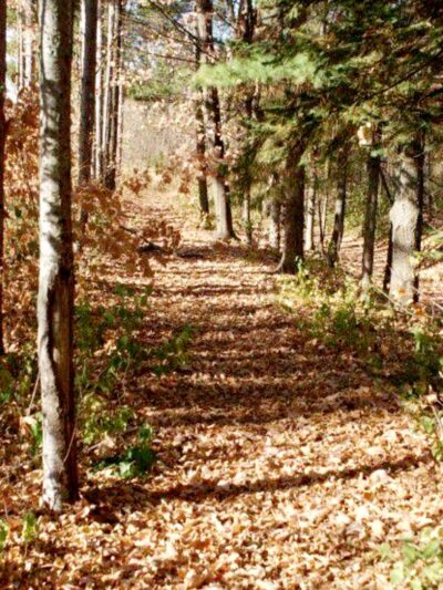 Lilleskogen Park - Scandia, MN