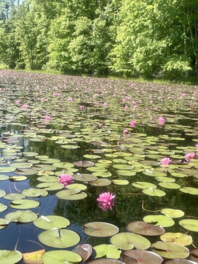 Plum Orchard Lake - Scarbro, WV