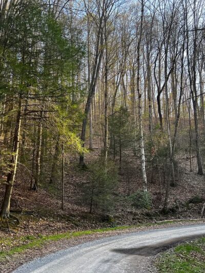 Plum Orchard Lake - Scarbro, WV