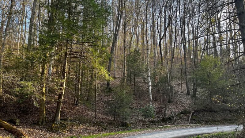 Plum Orchard Lake - Scarbro, WV
