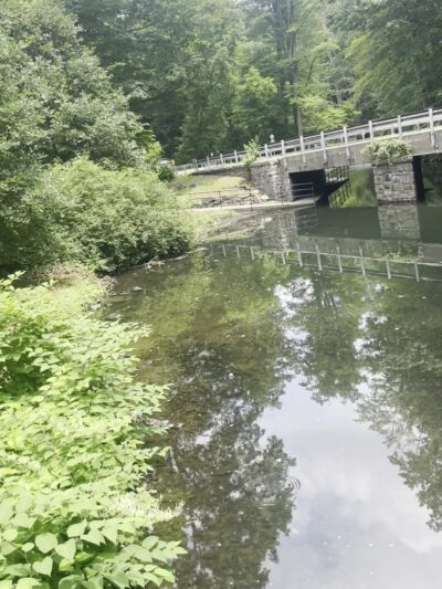 Bronx River Park - Scarsdale, NY