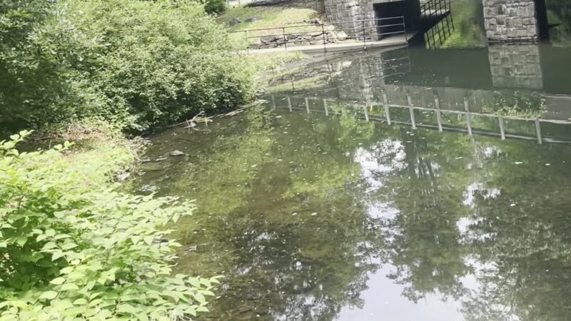 Bronx River Park - Scarsdale, NY