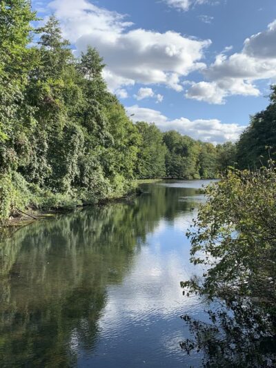 Bronx River Park - Scarsdale, NY