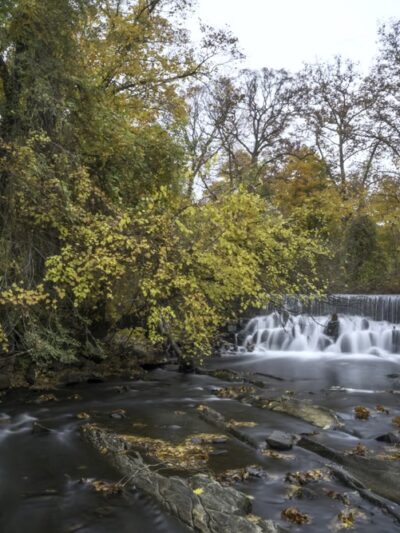 Bronx River Park - Scarsdale, NY