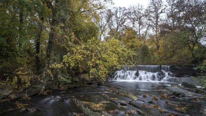 Bronx River Park - Scarsdale, NY