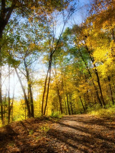 Saxon Woods Park - Parking - Scarsdale, NY