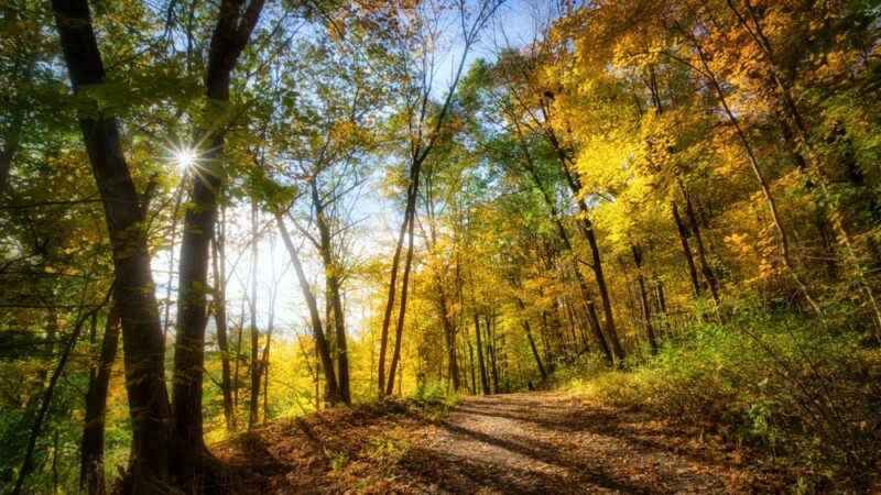 Saxon Woods Park - Parking - Scarsdale, NY