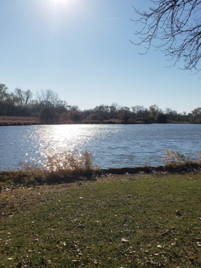 Eagle Park - Schaumburg, IL