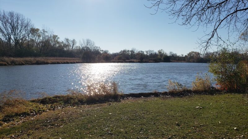 Eagle Park - Schaumburg, IL