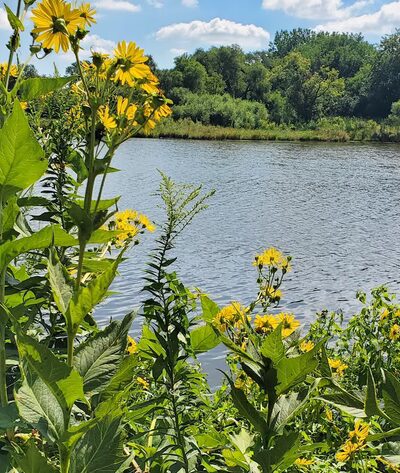 Eagle Park - Schaumburg, IL