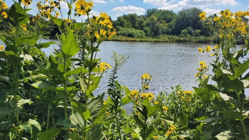 Eagle Park - Schaumburg, IL