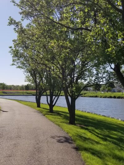 Volkening Lake - Schaumburg, IL