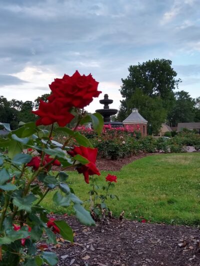 Central Park - Schenectady, NY