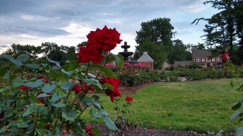 Central Park - Schenectady, NY