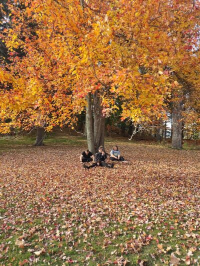 Hillhurst Park - Schenectady, NY