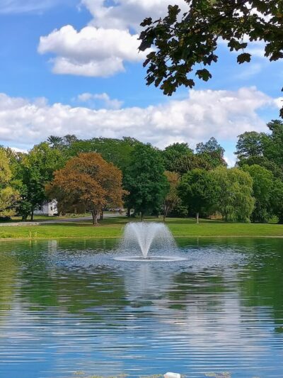Steinmetz Park - Schenectady, NY