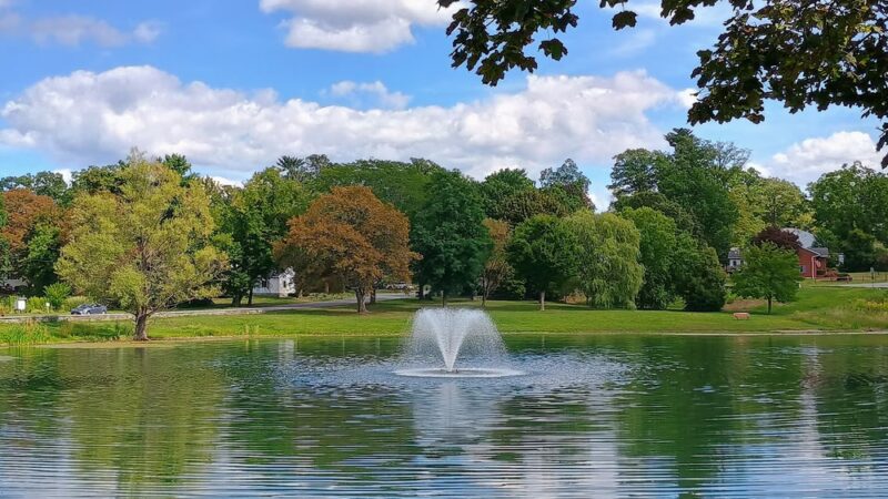 Steinmetz Park - Schenectady, NY