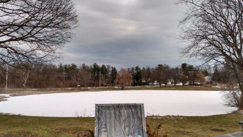 Steinmetz Park - Schenectady, NY