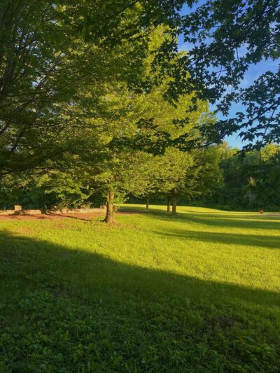 Steinmetz Park - Schenectady, NY