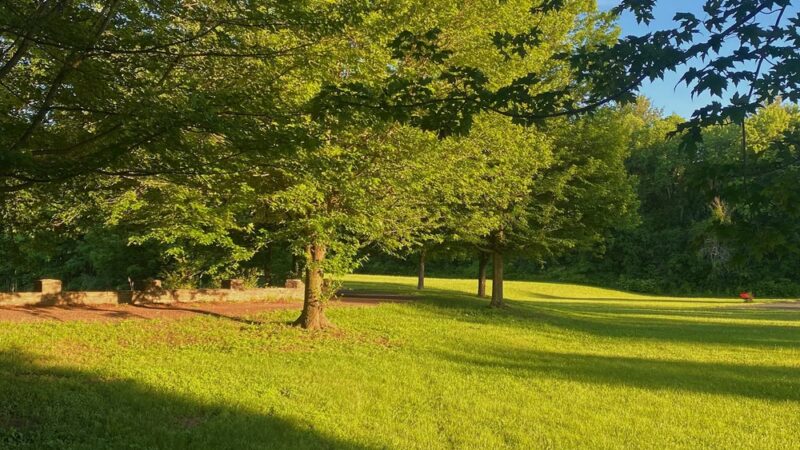 Steinmetz Park - Schenectady, NY
