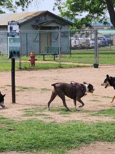 Schertz Dog Park - Schertz, TX
