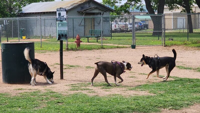 Schertz Dog Park - Schertz, TX