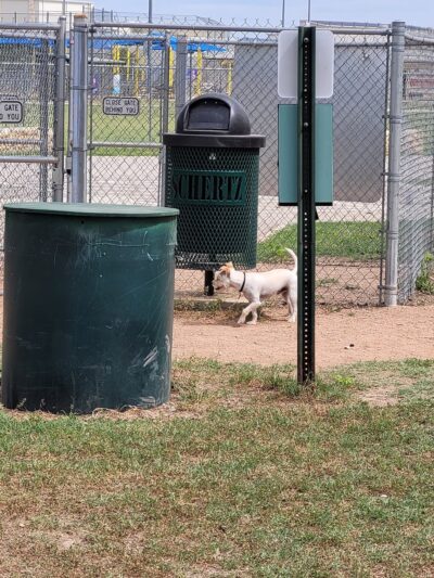Schertz Dog Park - Schertz, TX