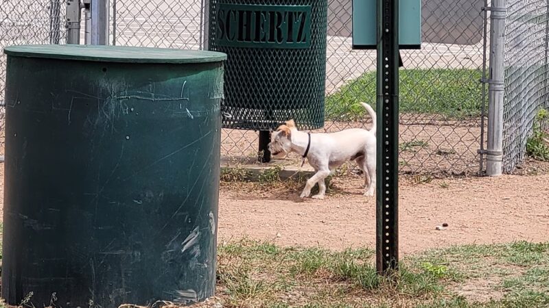 Schertz Dog Park - Schertz, TX