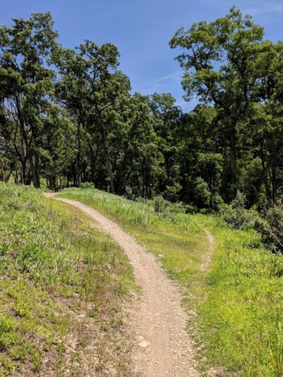 Trexler Nature Preserve - MTB access - Schnecksville, PA