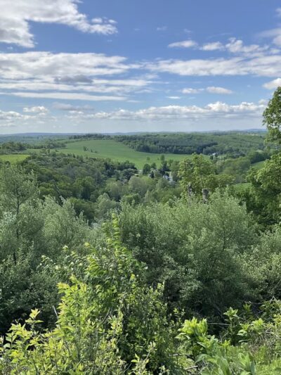Trexler Nature Preserve - MTB access - Schnecksville, PA