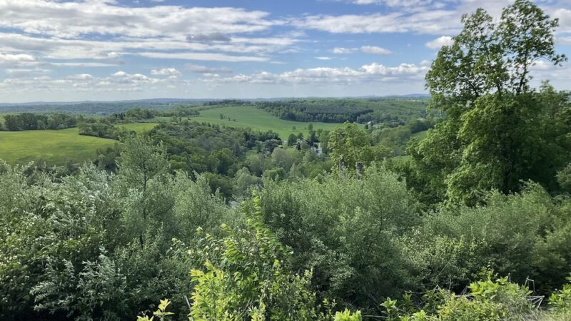 Trexler Nature Preserve - MTB access - Schnecksville, PA