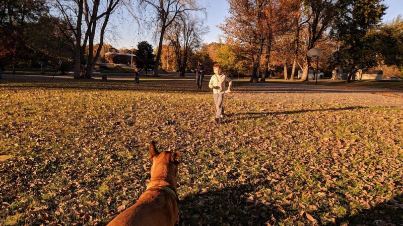 Fort Hardy Park - Schuylerville, NY