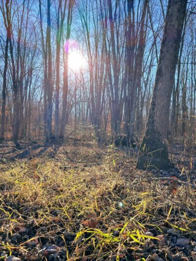 Victory Mills Wildlife Management Area - Schuylerville, NY