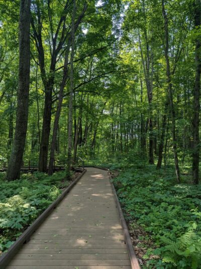Victory Woods - Schuylerville, NY