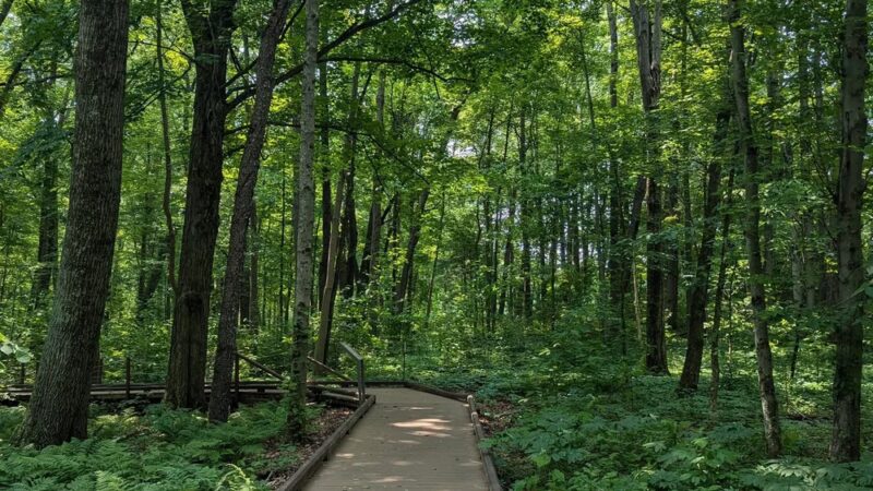 Victory Woods - Schuylerville, NY