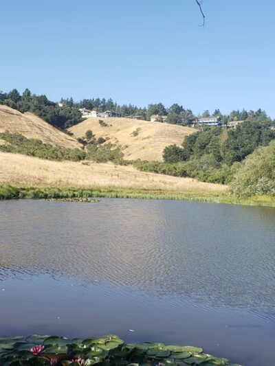 East Glenwood Preserve - Scotts Valley, CA
