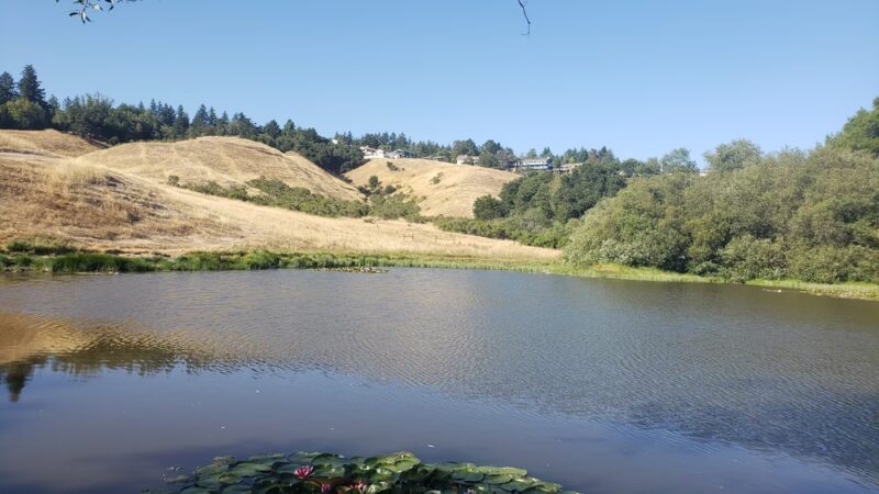 East Glenwood Preserve - Scotts Valley, CA
