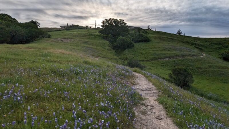 East Glenwood Preserve - Scotts Valley, CA