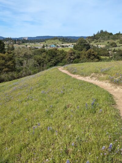 Glenwood Open Space Preserve - Scotts Valley, CA