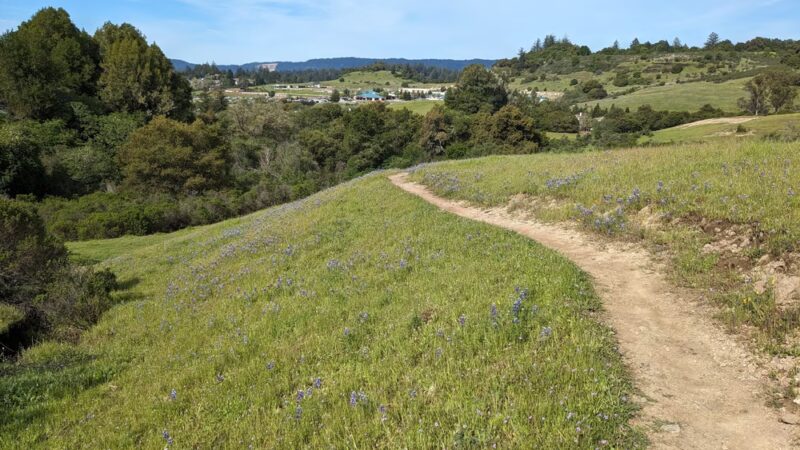 Glenwood Open Space Preserve - Scotts Valley, CA