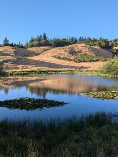 Glenwood Open Space Preserve - Scotts Valley, CA