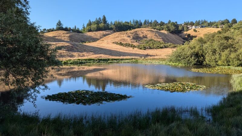 Glenwood Open Space Preserve - Scotts Valley, CA