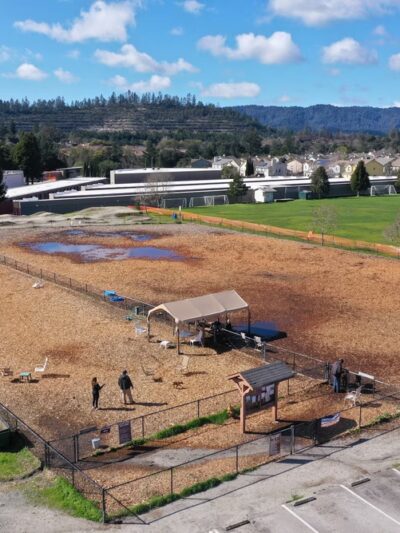 Skypark Dog Park - Scotts Valley, CA