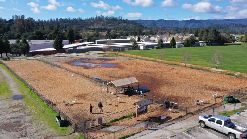 Skypark Dog Park - Scotts Valley, CA