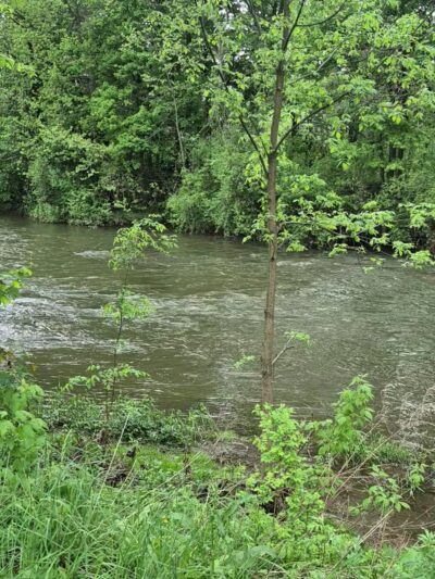 Canawaugus Park - Scottsville, NY