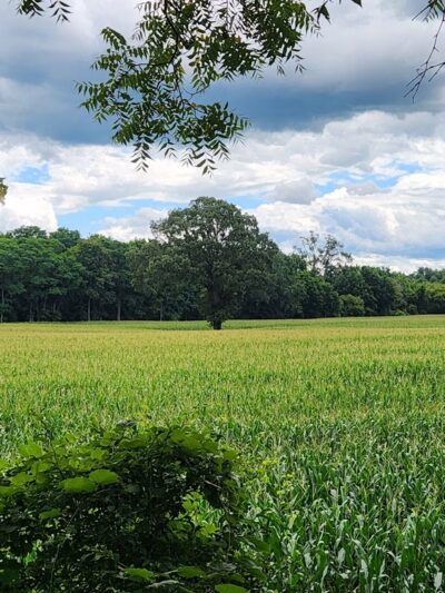 Canawaugus Park - Scottsville, NY